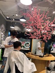 -时尚殿堂明星门店