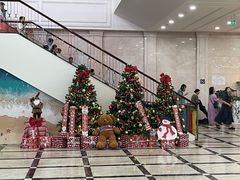 -芽庄珍珠岛游乐园