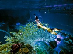 -华夏文旅海洋公园