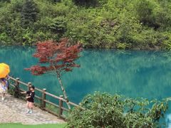 -军营村