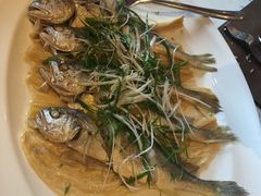 -御盛苑富隆汇·传承川菜·商务简餐(江北嘴店)