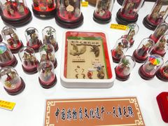 -天津梅江会展中心