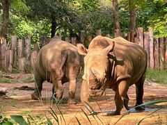 -北京野生动物园