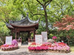 -上海醉白池公园