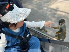 -苏州太湖西山岛开心农场