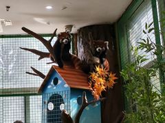 -海合安武汉极地海洋公园