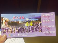 -洪湖悦兮半岛国际温泉度假村