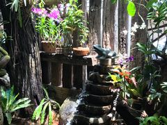 -自然餐厅(Phuket)