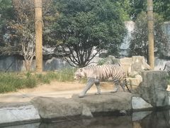 -常州淹城野生动物世界