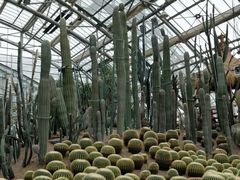 -南山植物园