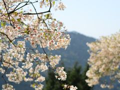 -舒家湾天主教堂