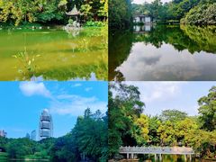-深圳国际园林花卉博览园