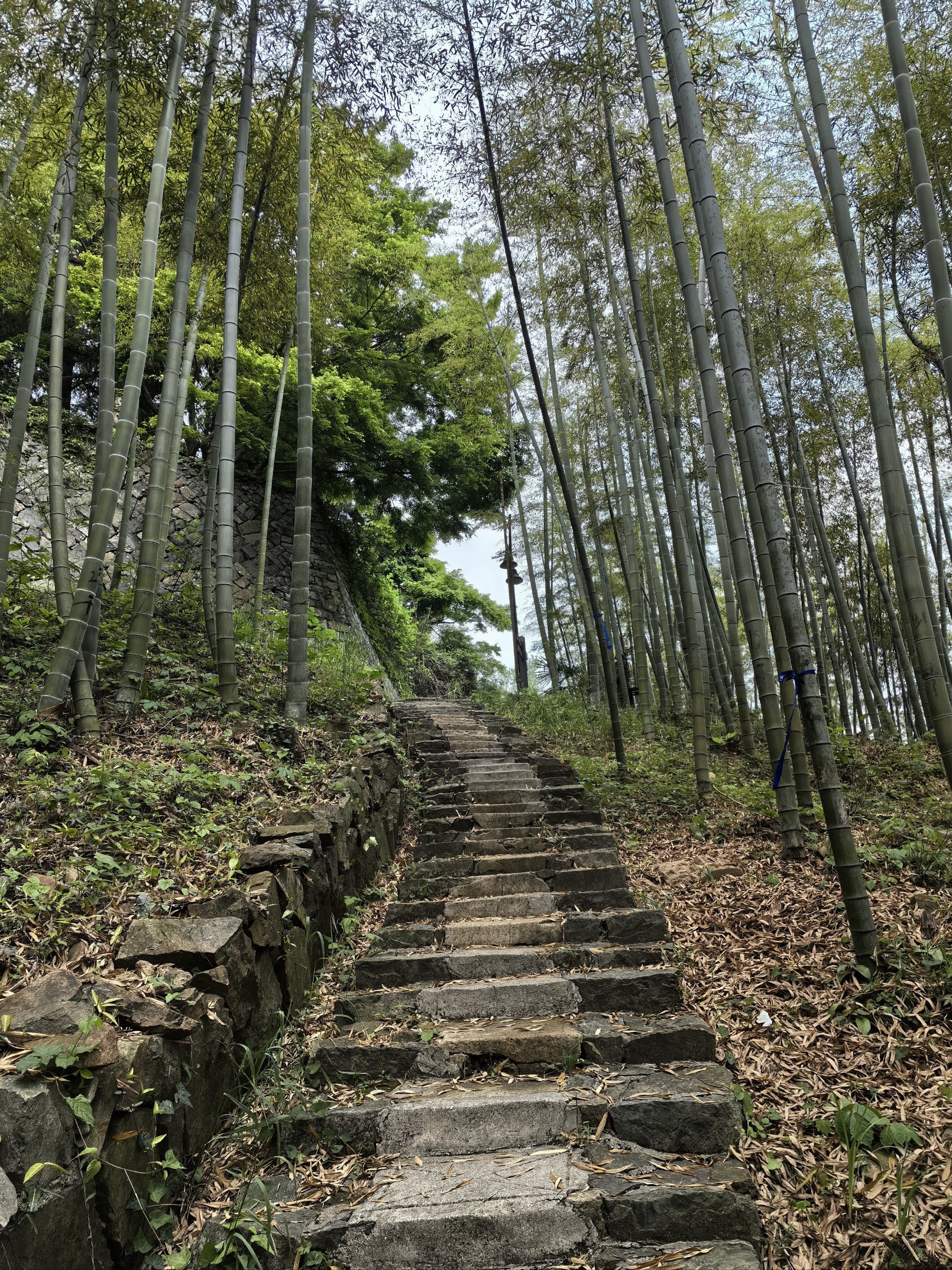 美丽莫干山
