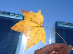 -星巴克(北京南站第二店)