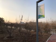 -东郊湿地公园