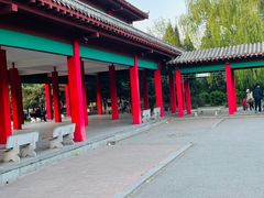 -万泉公园