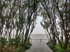 -上海吴淞炮台湾国家湿地公园