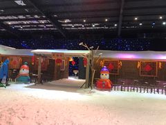 -宁波冰雪大世界(北仑区)