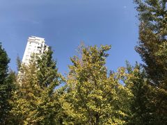-西北湖绿化广场