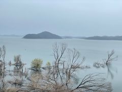 -八次方密云水库鱼粘卷子·熏鸽子·农家菜