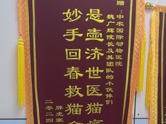 -中农国际动物医院24小时·猫科·骨科·急重症中心