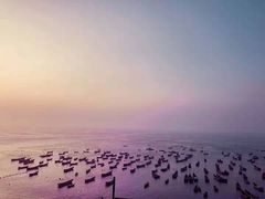 -枸杞岛