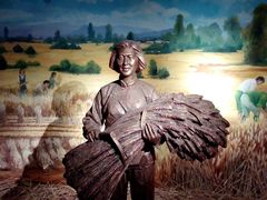 -兰陵国家农业公园