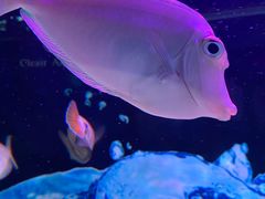 -多彩贵州城极地海洋世界