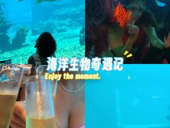 -海棠湾洲际-涛·海底餐厅·美人鱼·自助餐·海底隧道