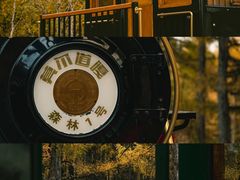 -莫尔道嘎国家森林公园
