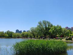 -太阳宫公园