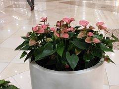 -光启城时尚购物中心