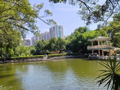 -晓港公园