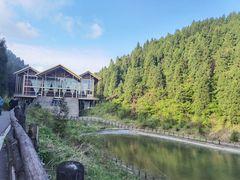 -武陵山森林公园