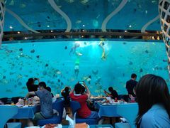 -瑞德姆美人鱼海底演艺主题餐厅(亚龙湾店)