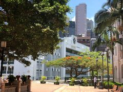 -香港大学