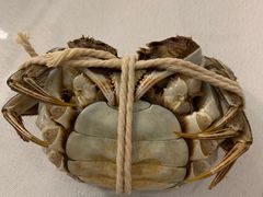 -七星龙虾城·海鲜·大闸蟹(吴江店)