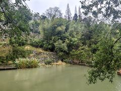 -莫干山风景区