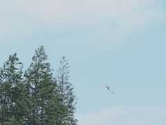-滆湖低碳生态公园