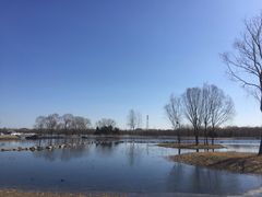 -大兴滨河森林公园