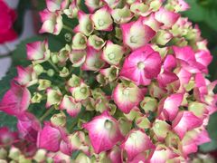 -何适山庄 ·可团建(水长城P2停车场店)