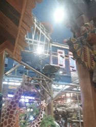 -卡通尼·Safari非洲探索乐园·生日会(金桥国际商业广场店)