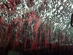 -中福石油新龙加油站