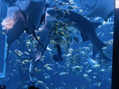 -太平洋海底世界