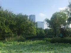 -白塘生态植物园