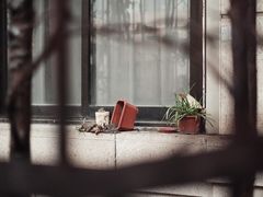 -丰裕里