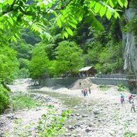 -黑河国家森林公园