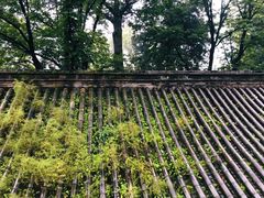 -潭柘寺景区