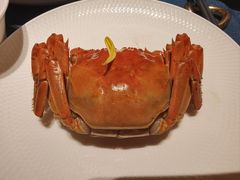 -老吉堂上海本帮菜(工体店)