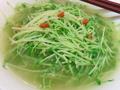 鸡汤豆苗-天成川菜馆(华乐店)